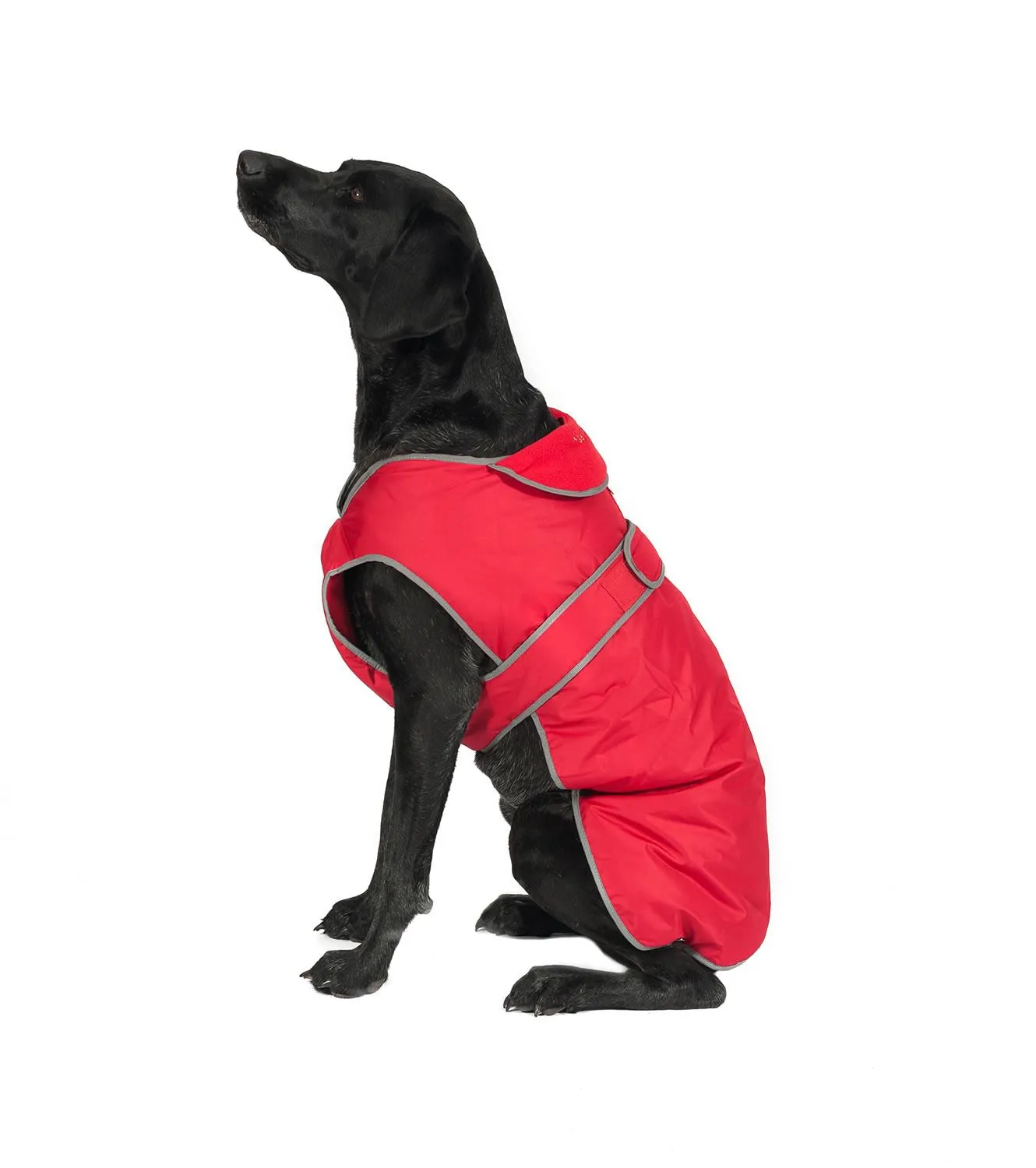 Ancol Stormguard Dog Coat