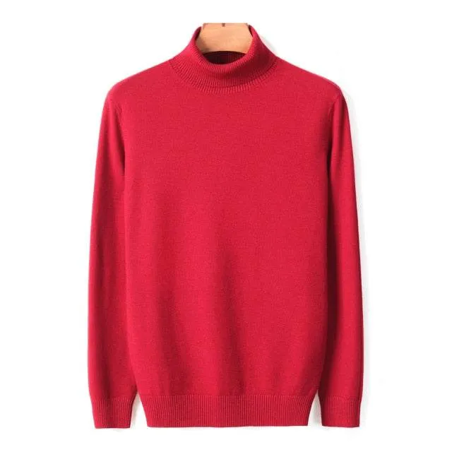 Autumn Winter Men's Warm Turtleneck Sweater High Quality Fashion Sweaters