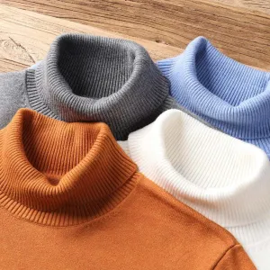 Autumn Winter Men's Warm Turtleneck Sweater High Quality Fashion Sweaters