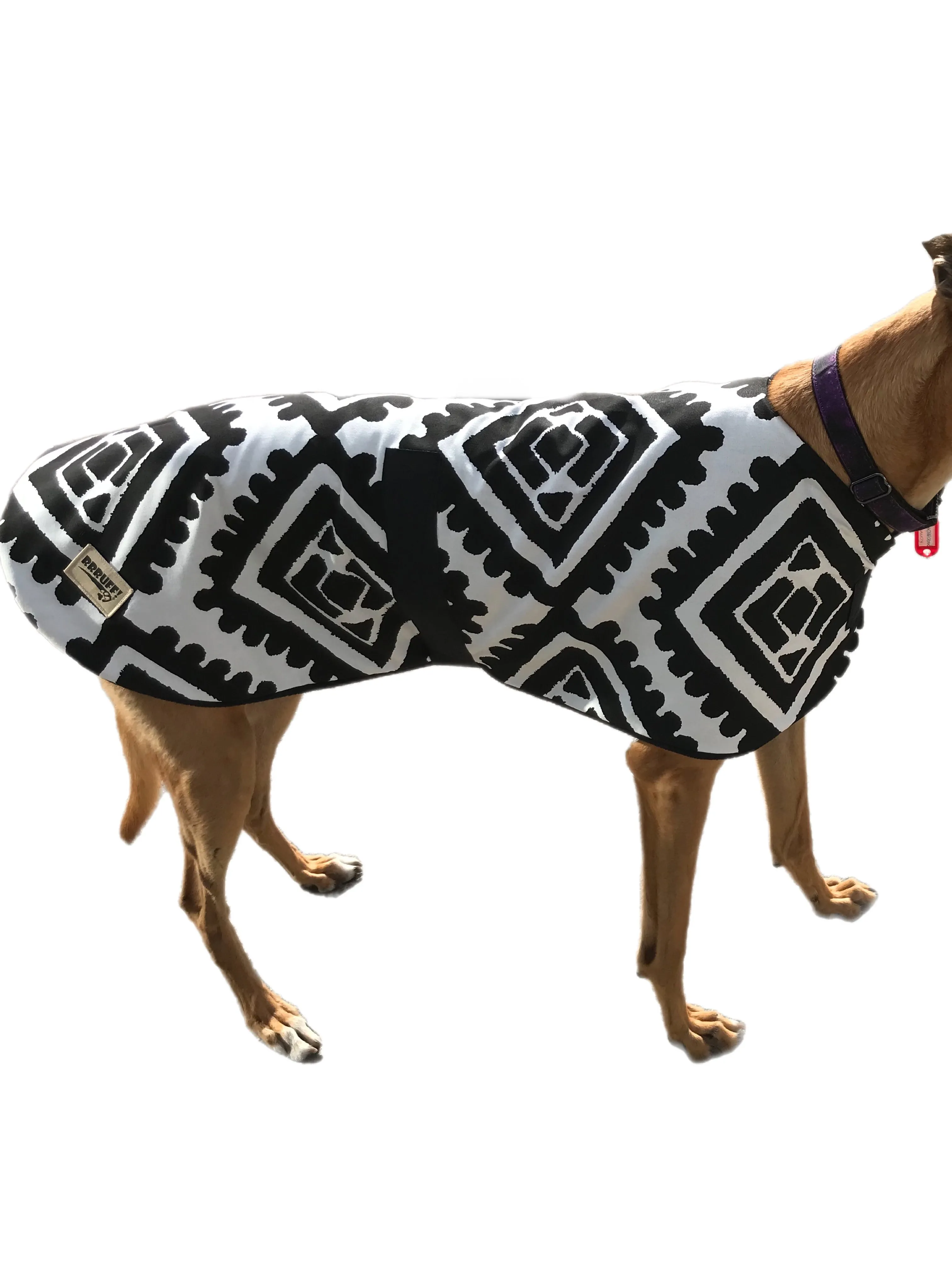 Black & white Autumn range classic style Greyhound coat in  cotton & fleece washable clearance sale