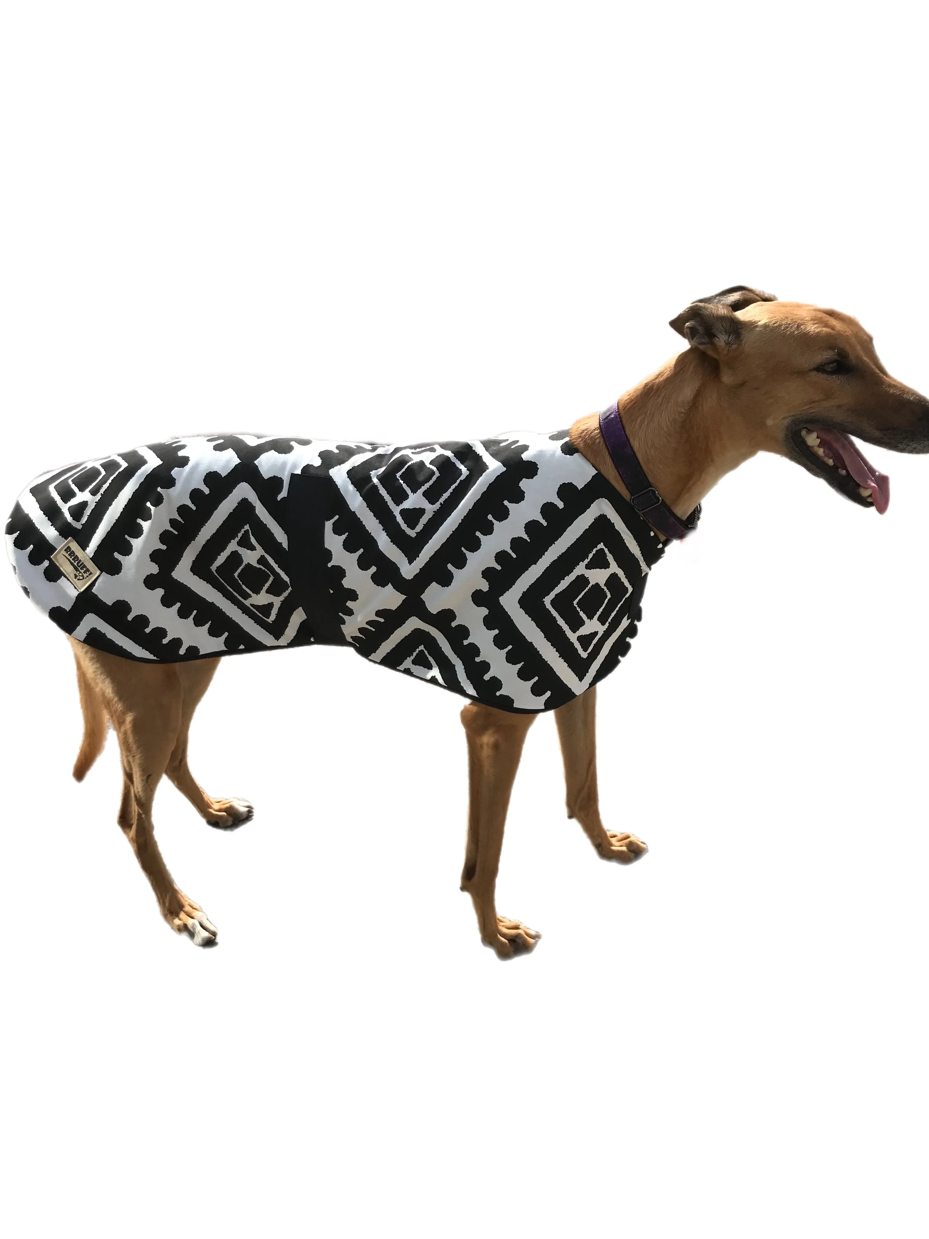 Black & white Autumn range classic style Greyhound coat in  cotton & fleece washable clearance sale