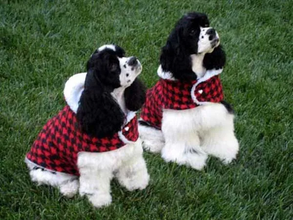 Cold Climate Coat: Red and Black Fleece Houndstooth