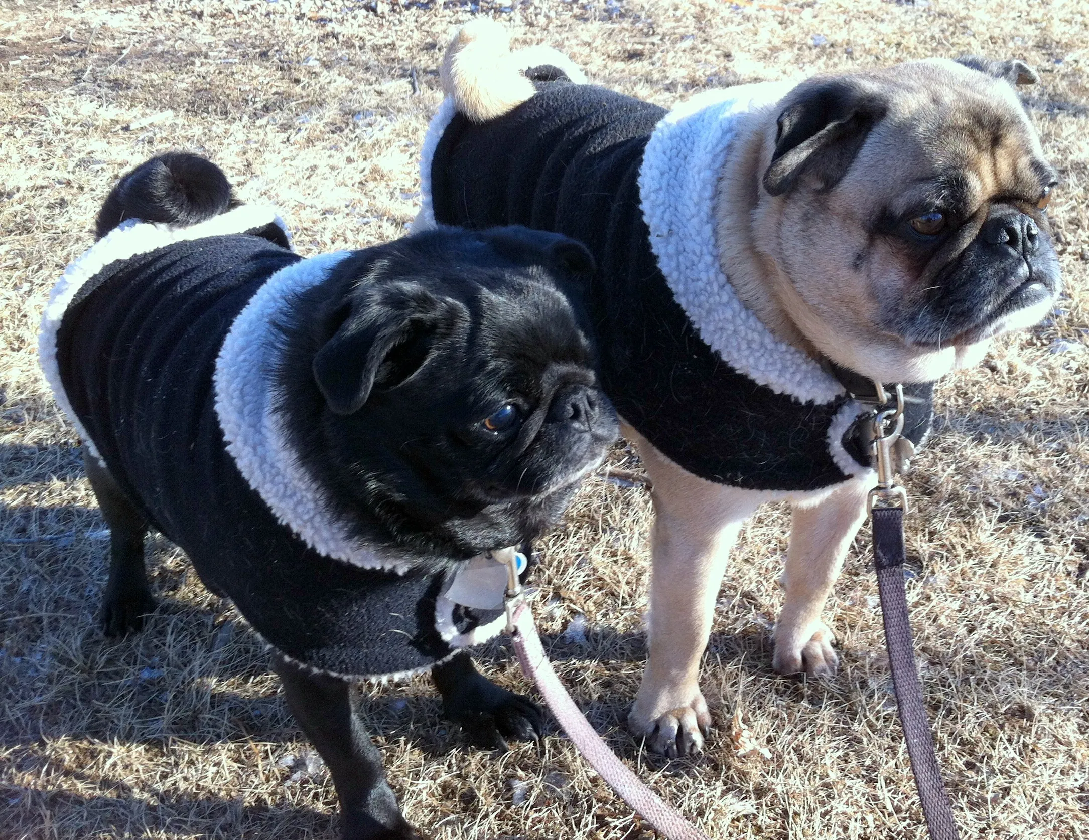 Cold Climate Coat: Winter Noah