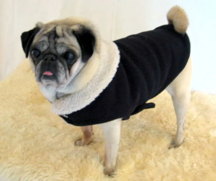 Cold Climate Coat: Winter Noah