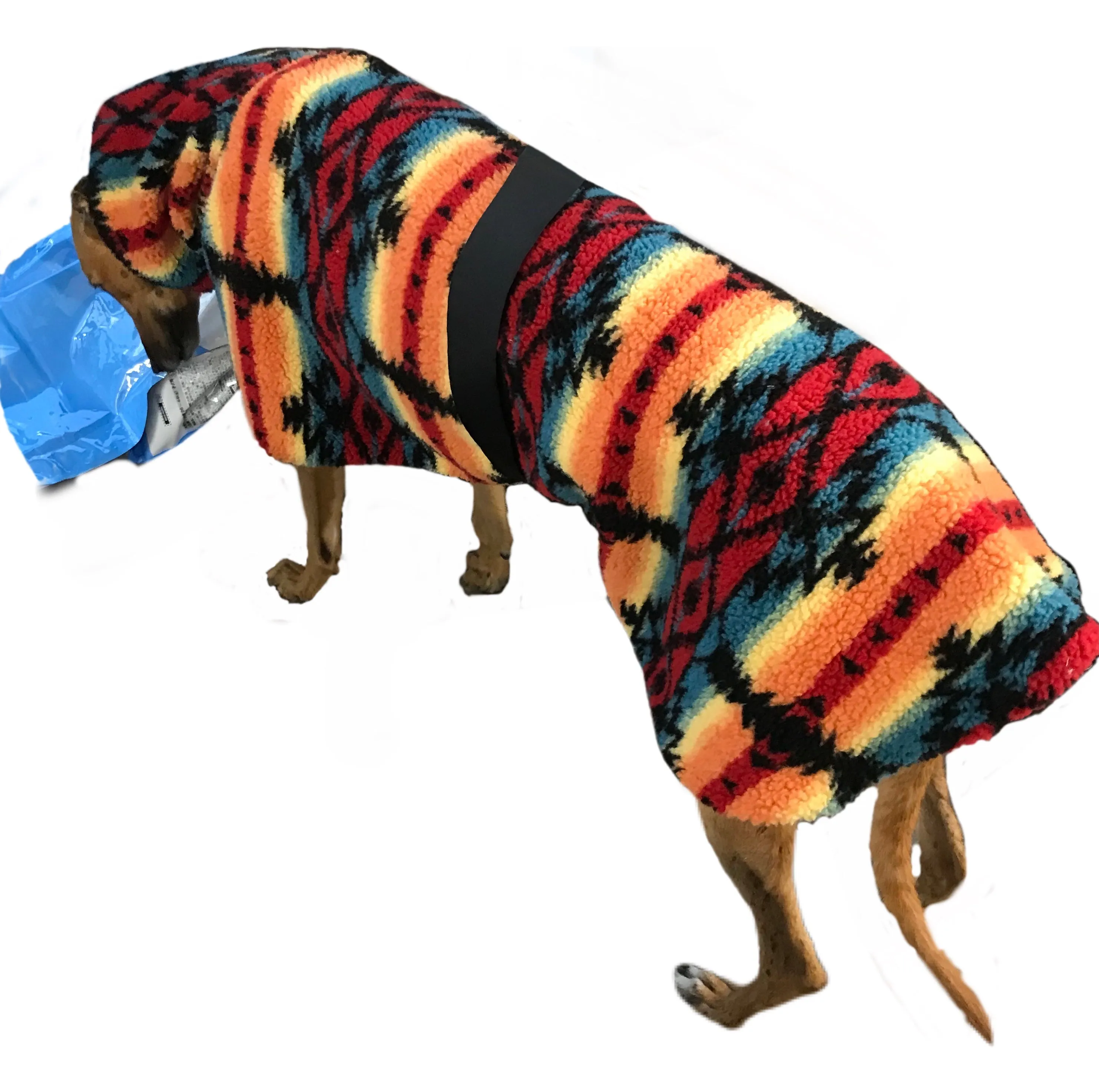 Extra thick Desert Sherpa deluxe style greyhound coat with snuggly wide neck roll