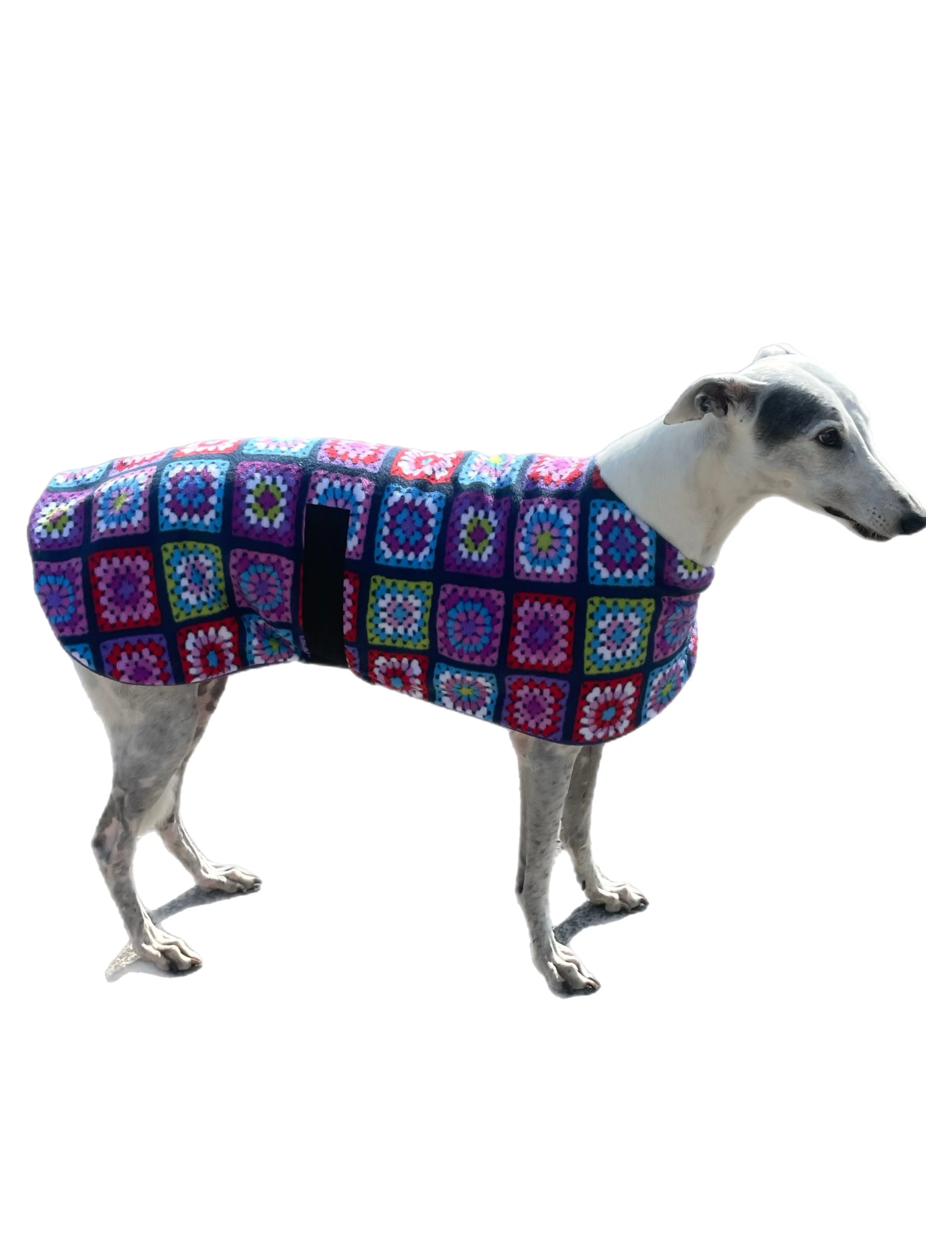 Granny grey classic style no collar Greyhound coat in sumptuous double fleece washable