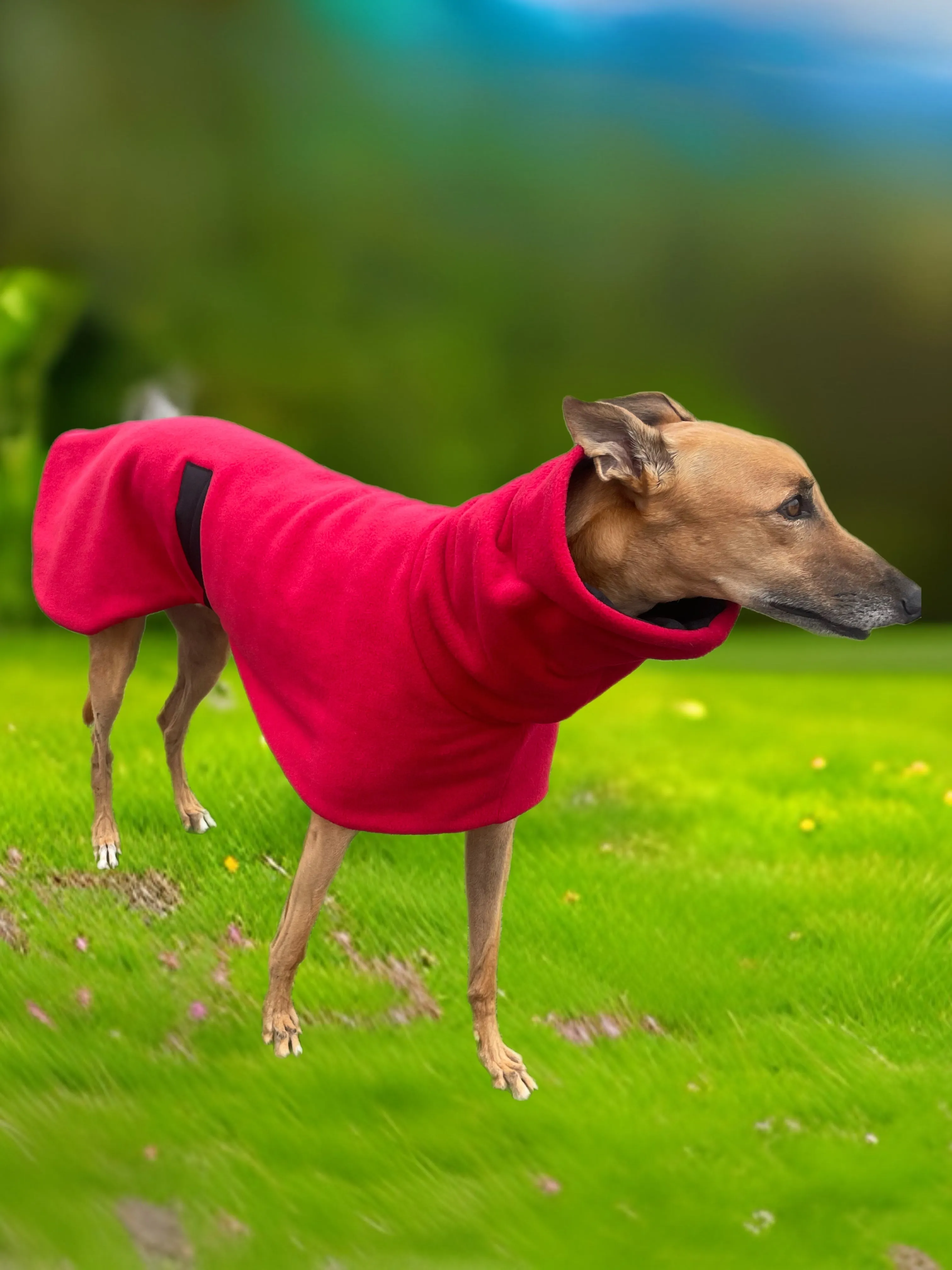 Greyhound deluxe style coat in luscious red washable extra thick double polar fleece