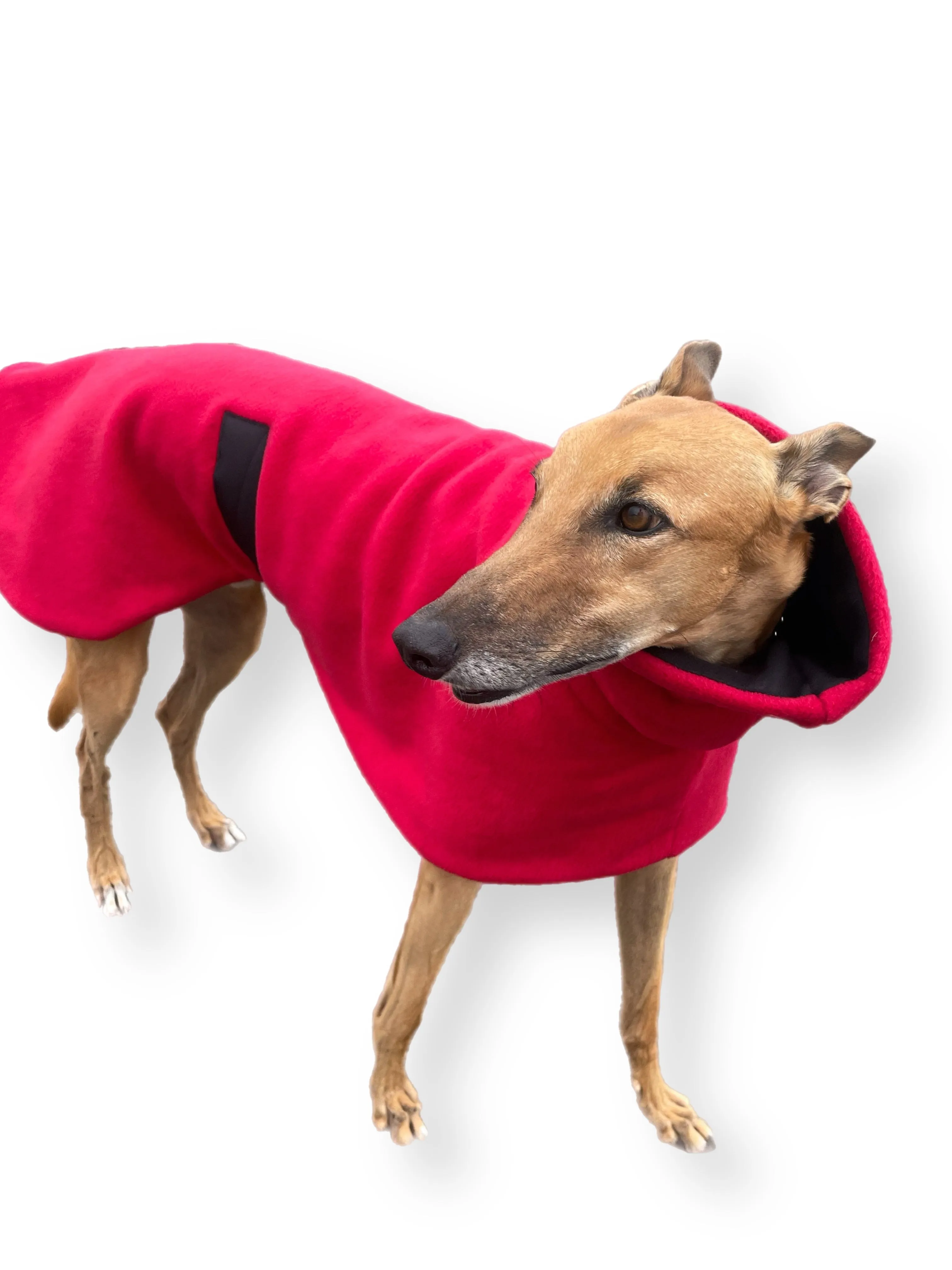 Greyhound deluxe style coat in luscious red washable extra thick double polar fleece