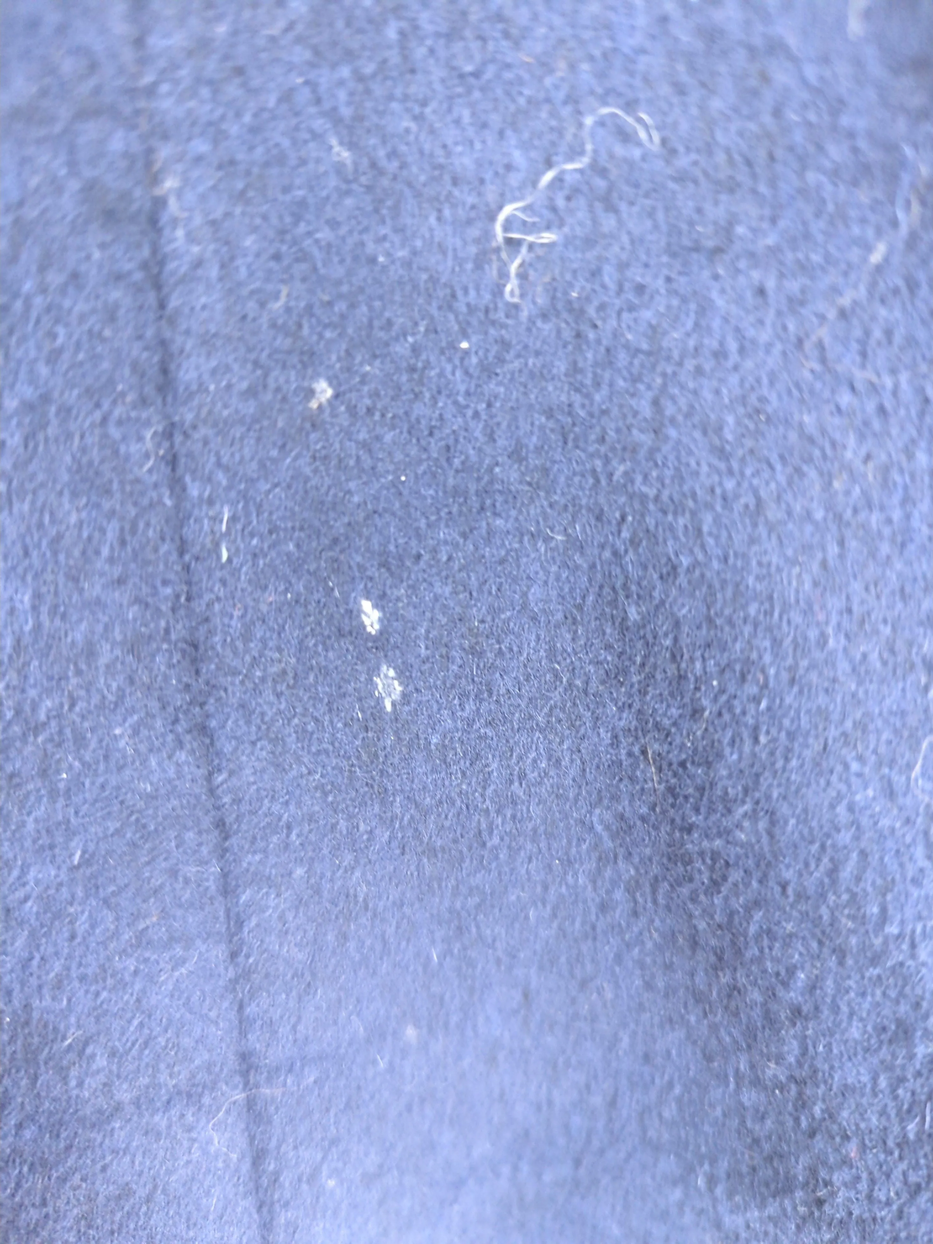 Joseph Women's Coat UK 14 Blue Wool with Cashmere, Viscose