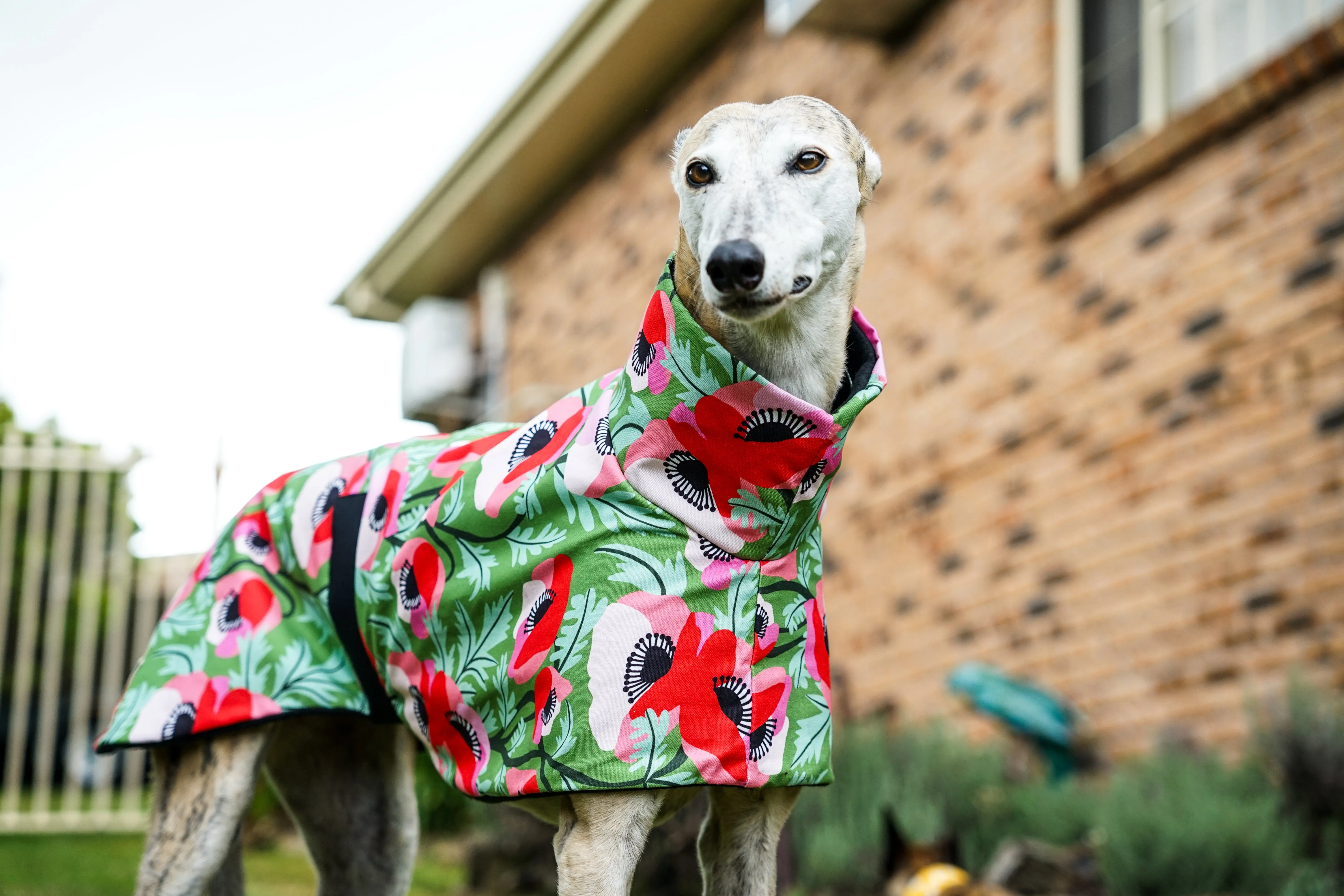 Our poppy red on vibrant green sports coat