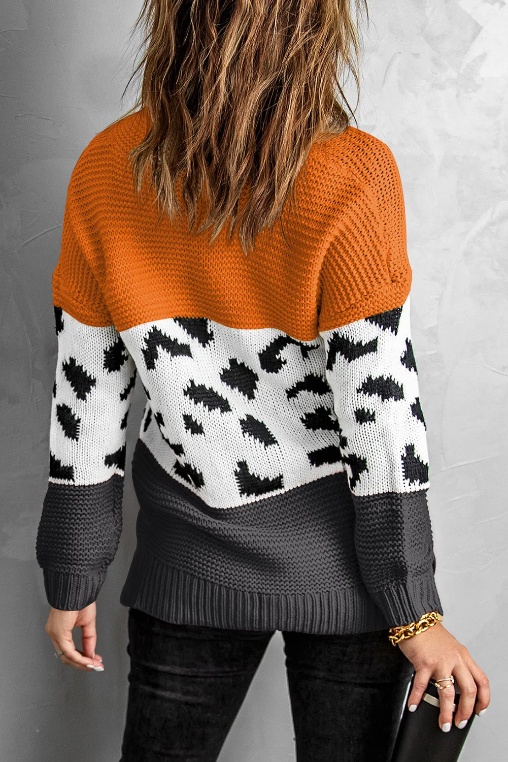Patterned Color Block Turtleneck Sweater