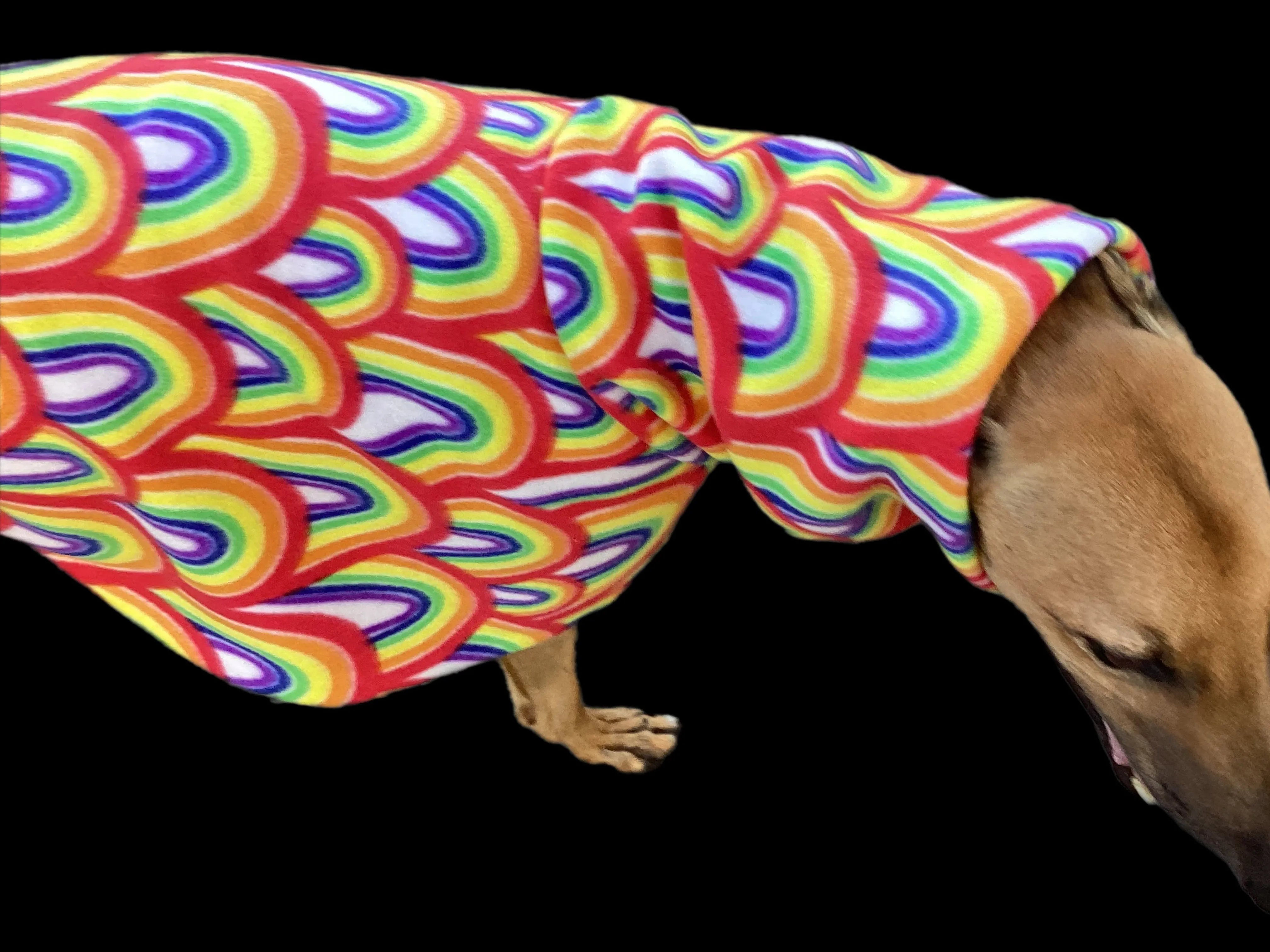Rainbow deluxe greyhound coat rug snuggly polar fleece washable extra wide neck hoodie