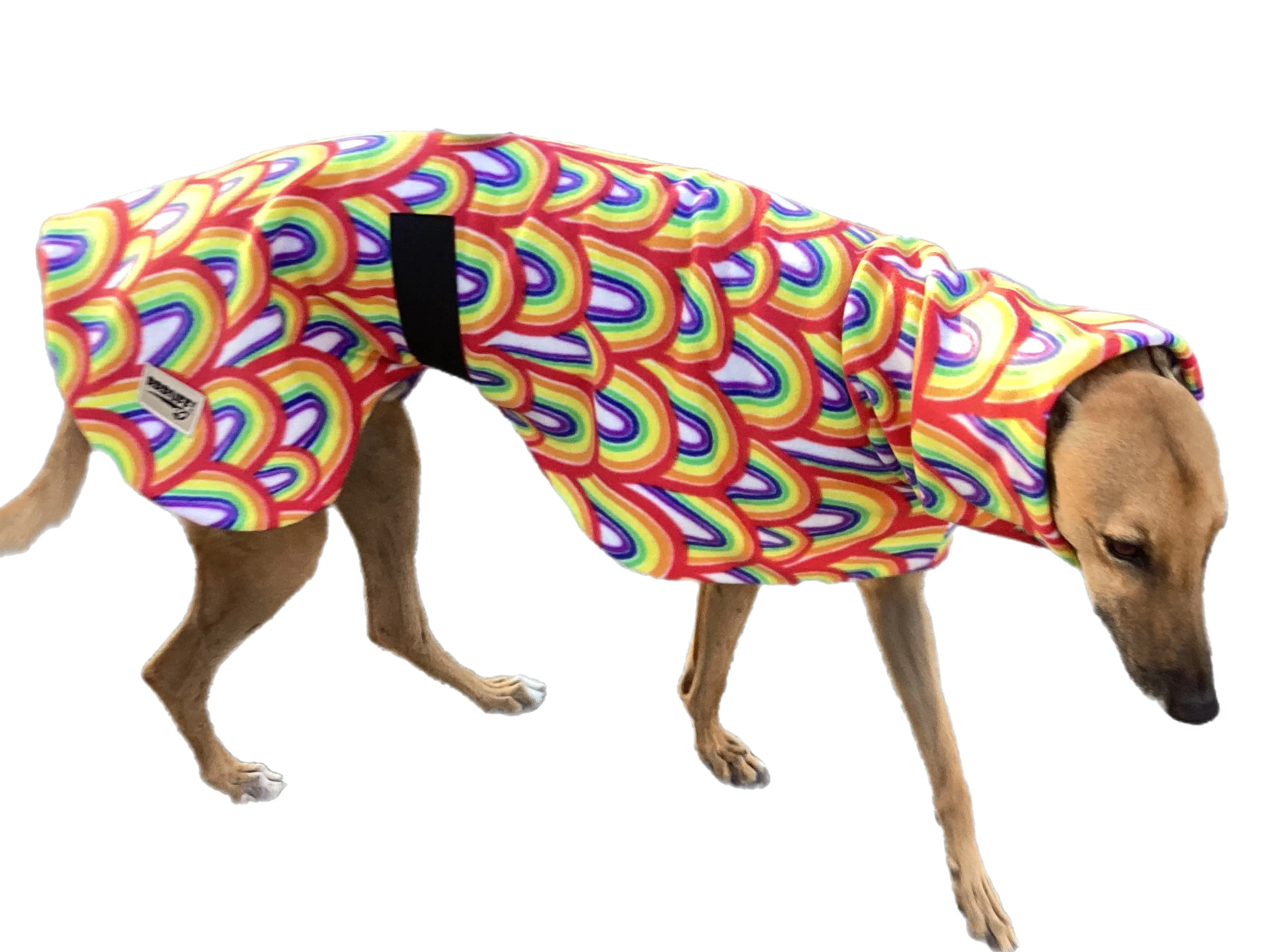 Rainbow deluxe greyhound coat rug snuggly polar fleece washable extra wide neck hoodie