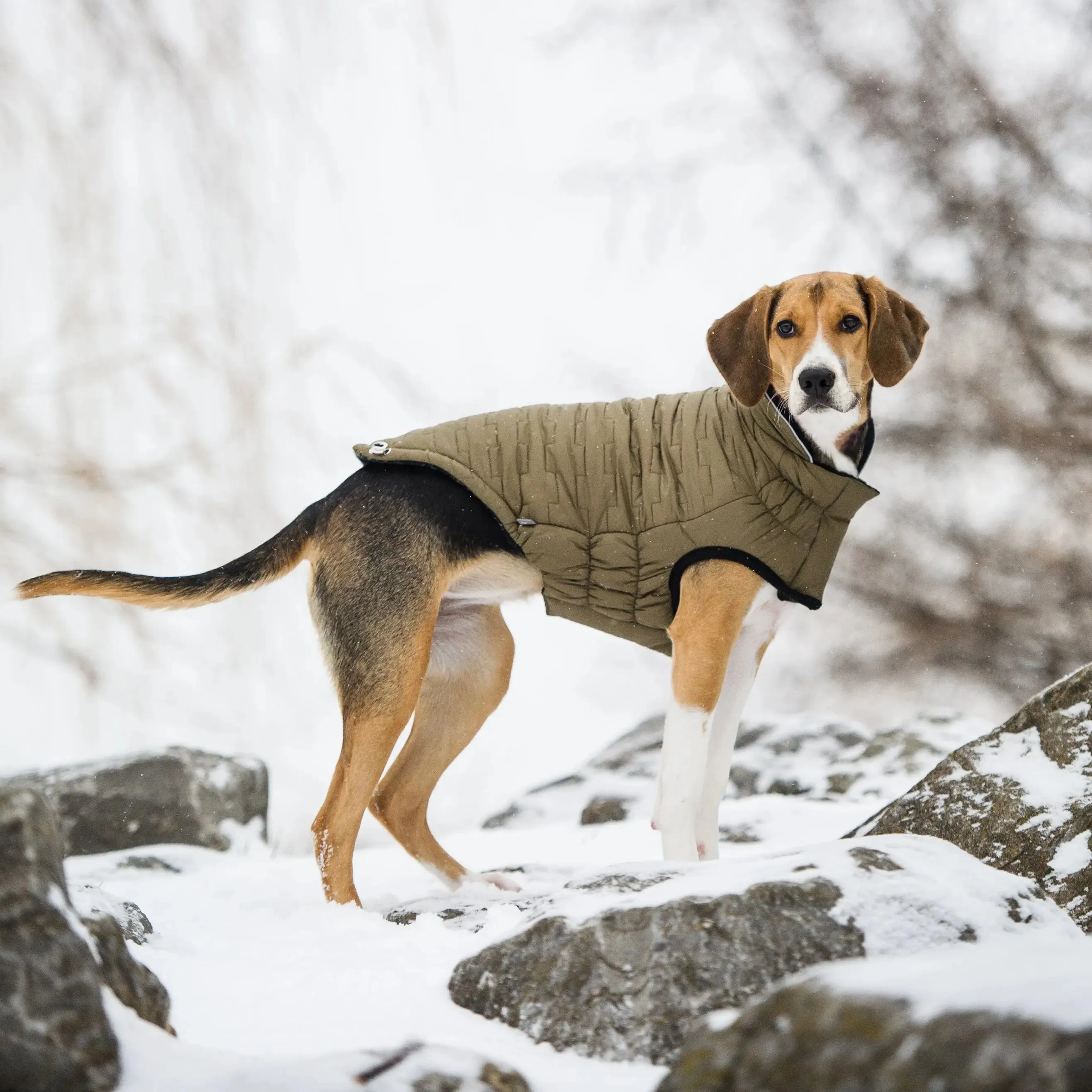 Reversible Chalet Dog Jacket | Khaki Fleece