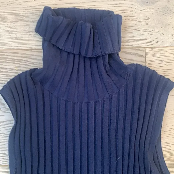 Veronica Bears Stefania Turtleneck Sweater