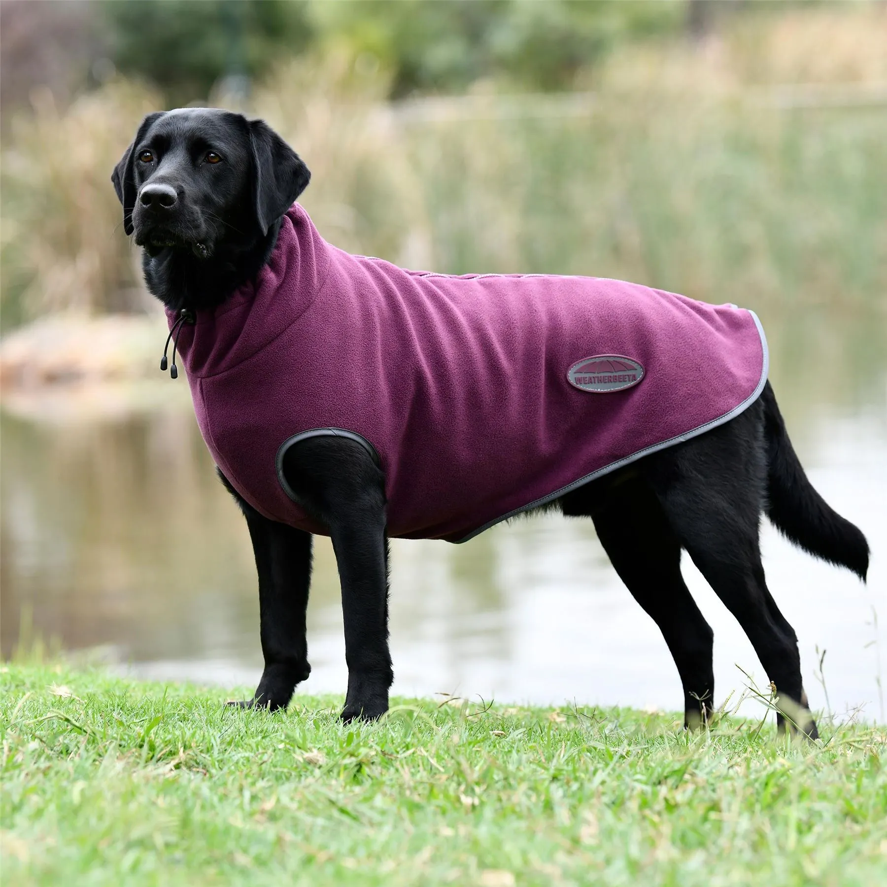 Weatherbeeta Comfitec Fleece Zip Dog Coat
