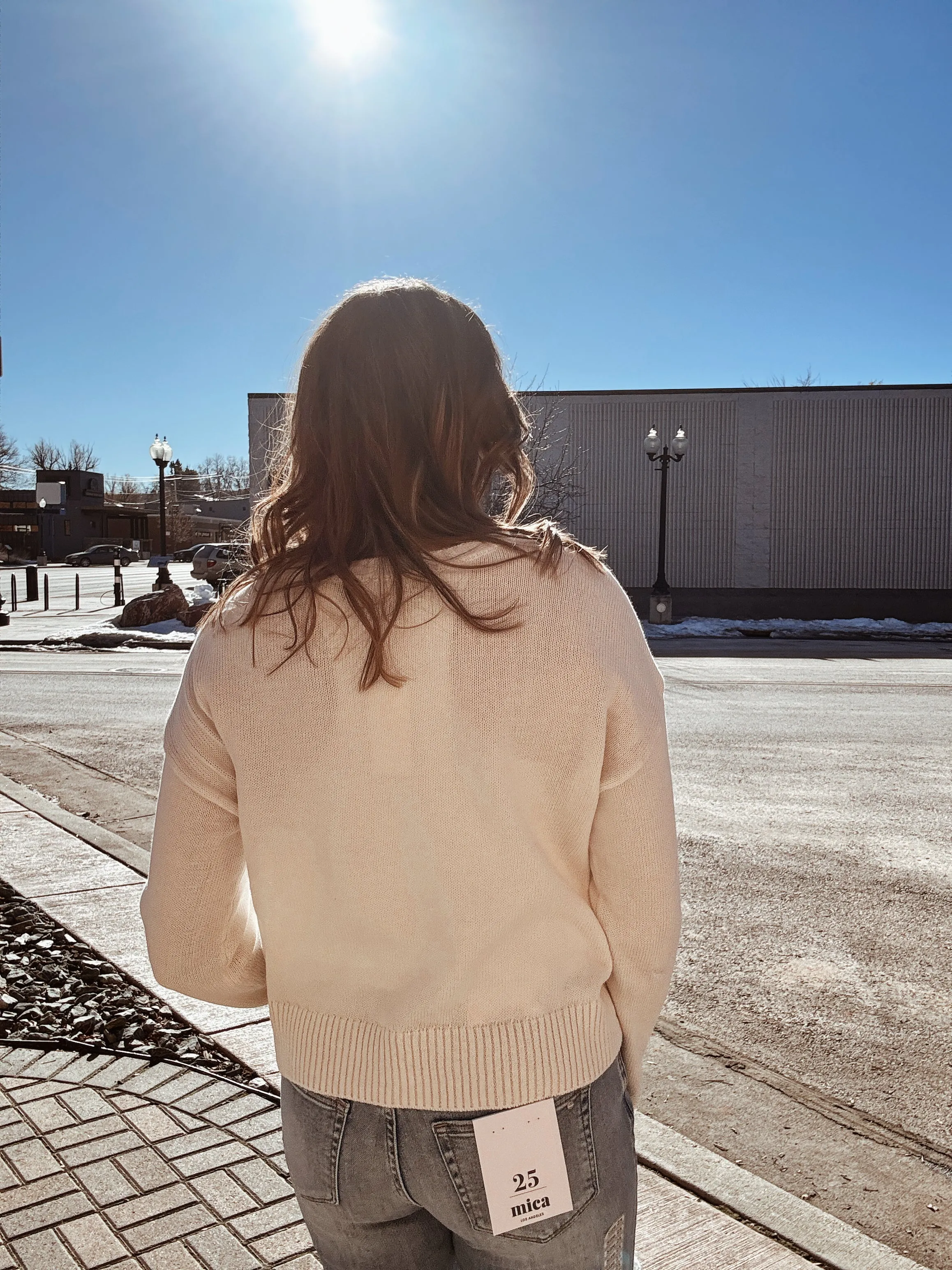 Z SUPPLY Sienna Sweater